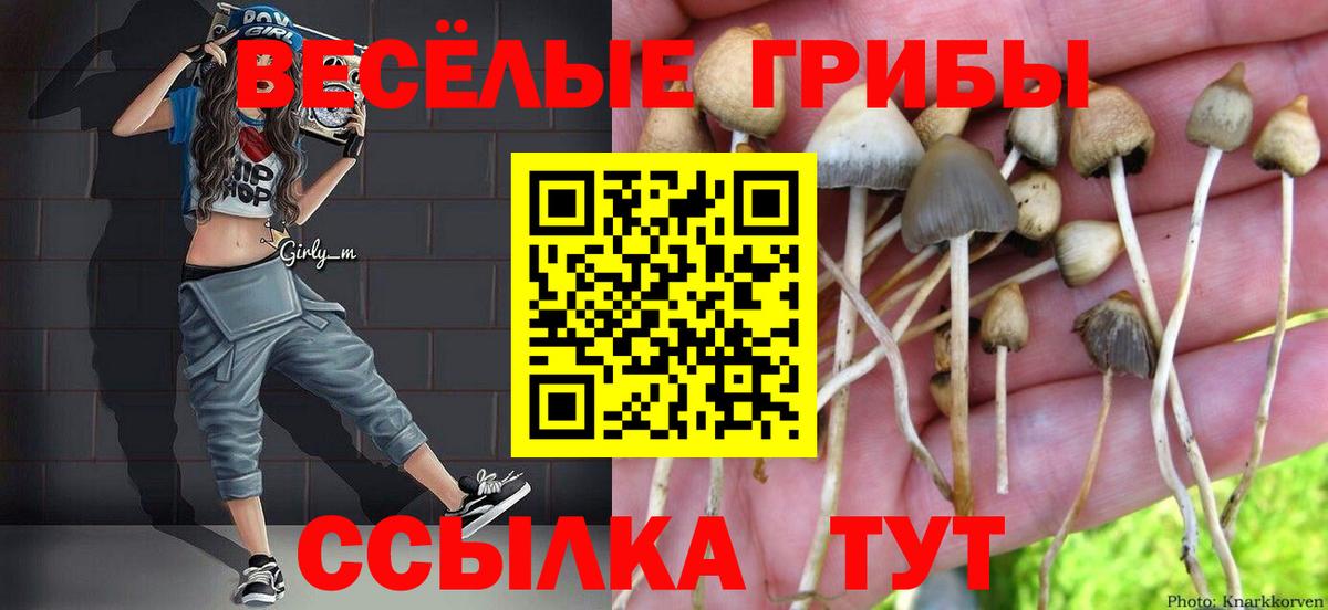 Галлюциногенные грибы GOLDEN TEACHER  Вход с VPN  Галлюциногенные грибы GOLDEN TEACHER  Заречный 